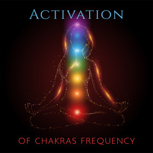 Album Activation of Chakras Frequency in Our Body (Soft Meditation Music) oleh Healing Frequency Music Zone