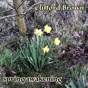 收听Clifford Brown & Art Farmer Swedish All-Stars的Falling in love with me歌词歌曲
