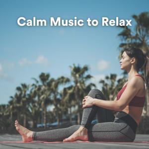 Listen to Calm Music to Relax, Pt. 1 song with lyrics from Calm Music