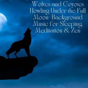 Selections的專輯Wolves and Coyotes Howling Under the Full Moon- Background Music for Sleeping, Meditation & Zen