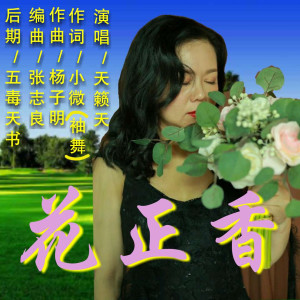 收听天籁天的花正香 (伴奏)歌词歌曲