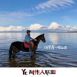 Listen to 炸街神曲 (Remix) song with lyrics from DJ梦菲