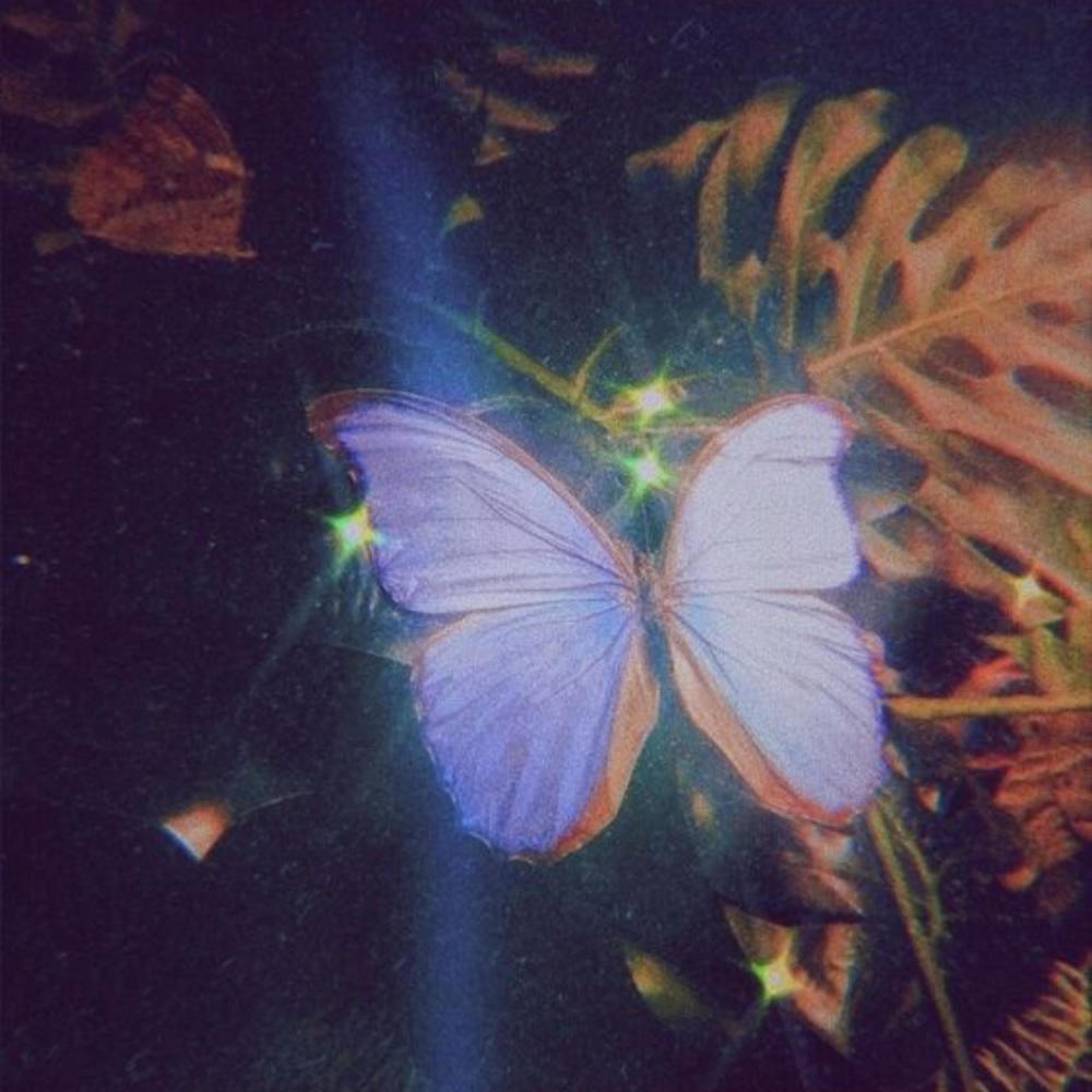 Butterflies (feat. Goth GloPJ) (Explicit)