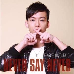 Album Never Say Never from 徐伟贤