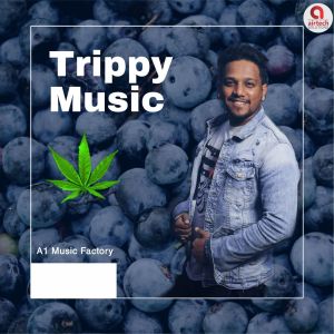 Dengarkan Trippy Music (Instrumental Version) lagu dari Asheem Mangoli dengan lirik