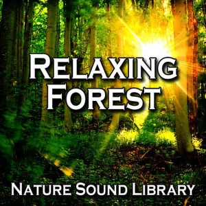 Relaxing Forest (Nature Sounds for Deep Sleep, Relaxation, Meditation, Spa, Sound Therapy, Studying)