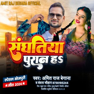 ดาวน์โหลดและฟังเพลง Sanghatiya Puran Ha พร้อมเนื้อเพลงจาก Amit Raj Begana