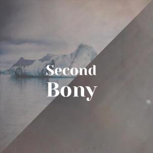 Various的专辑Second Bony