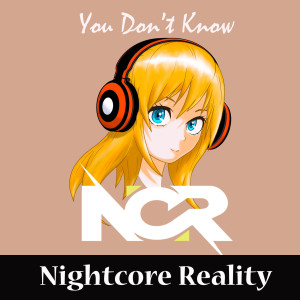 ดาวน์โหลดและฟังเพลง You Don't Know พร้อมเนื้อเพลงจาก Nightcore Reality