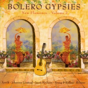 Various Artists的專輯Bolero Gypsies - New Flamenco Vol. 2