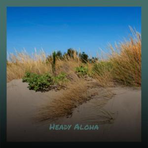 Album Heady Aloha from Various