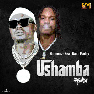 Ushamba (Remix)
