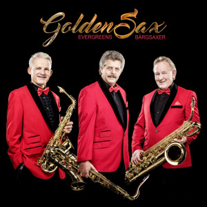 收听Bärgsaxer的Golden Sax Memory Medley歌词歌曲