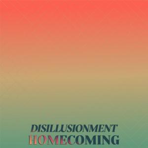 Various的专辑Disillusionment Homecoming