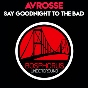 Avrosse的专辑Say Goodnight to the Bad Guy (Patrik Soderbom Remix)