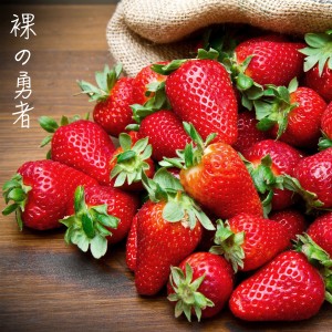 ดาวน์โหลดและฟังเพลง 裸の勇者 พร้อมเนื้อเพลงจาก Difa