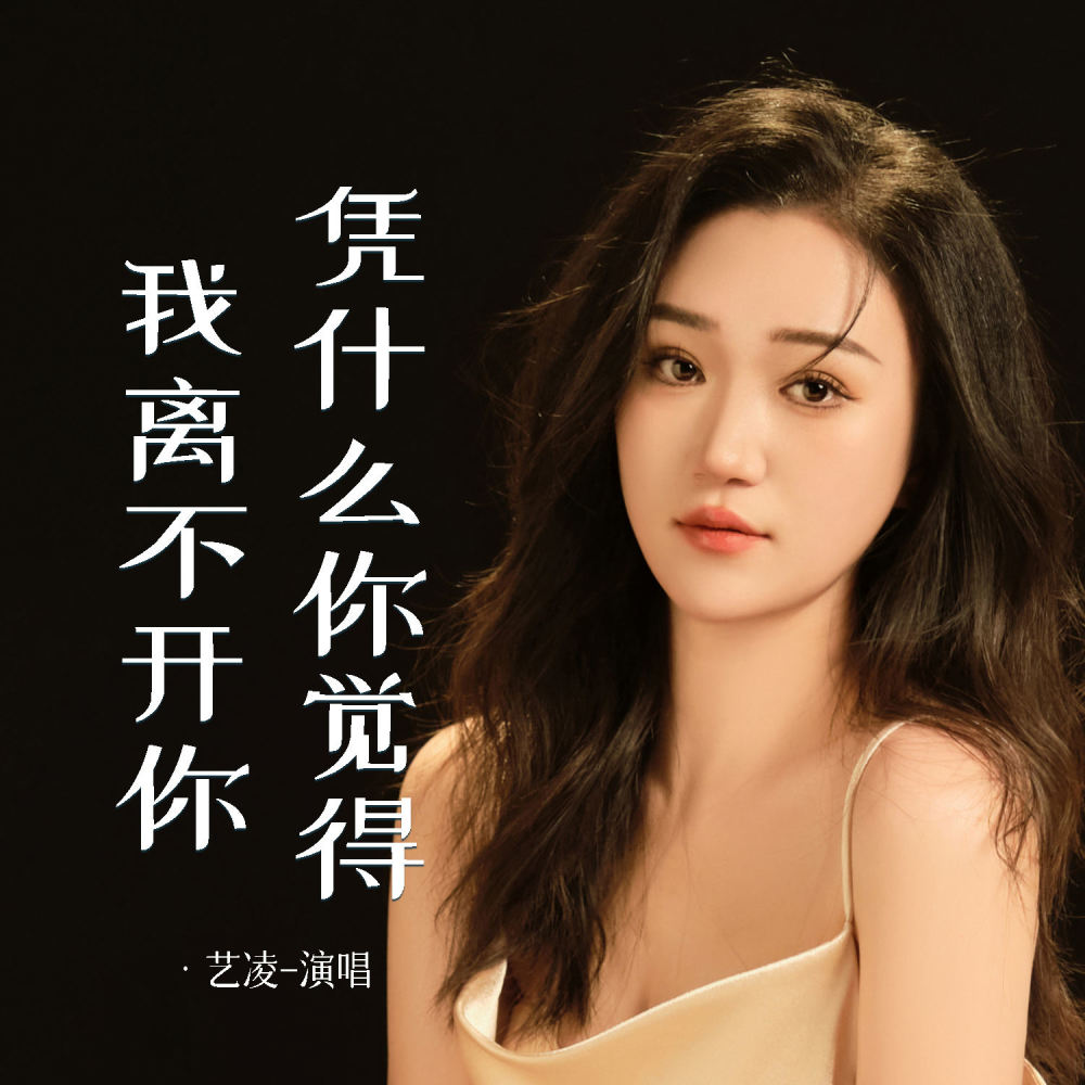 凭什么你觉得我离不开你 (伴奏)