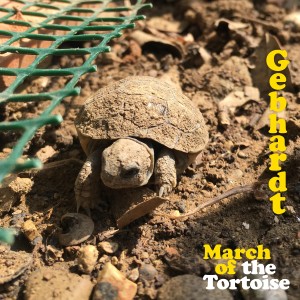 Gebhardt的專輯March of the Tortoise