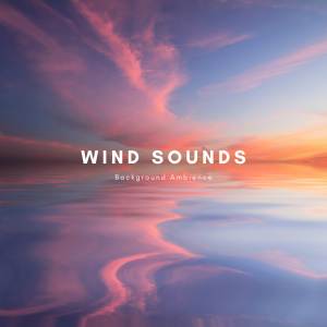 Natural Sounds Selections的專輯Wind Sounds Background Ambience