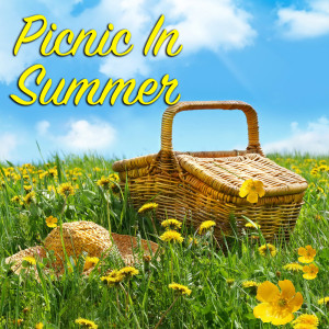 Various Artists的專輯Picnic In Summer