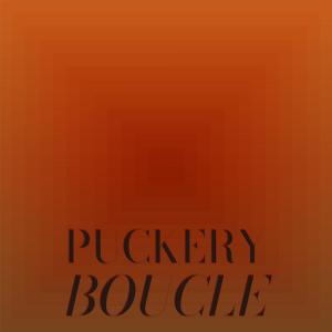 Album Puckery Boucle oleh Various