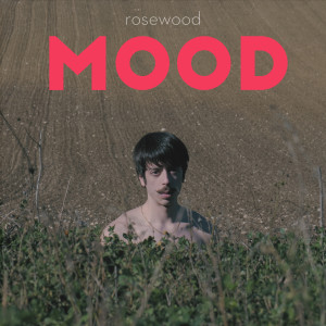 Listen to mood song with lyrics from Rosewood