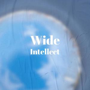 Dengarkan lagu Wide Intellect nyanyian Altan dengan lirik