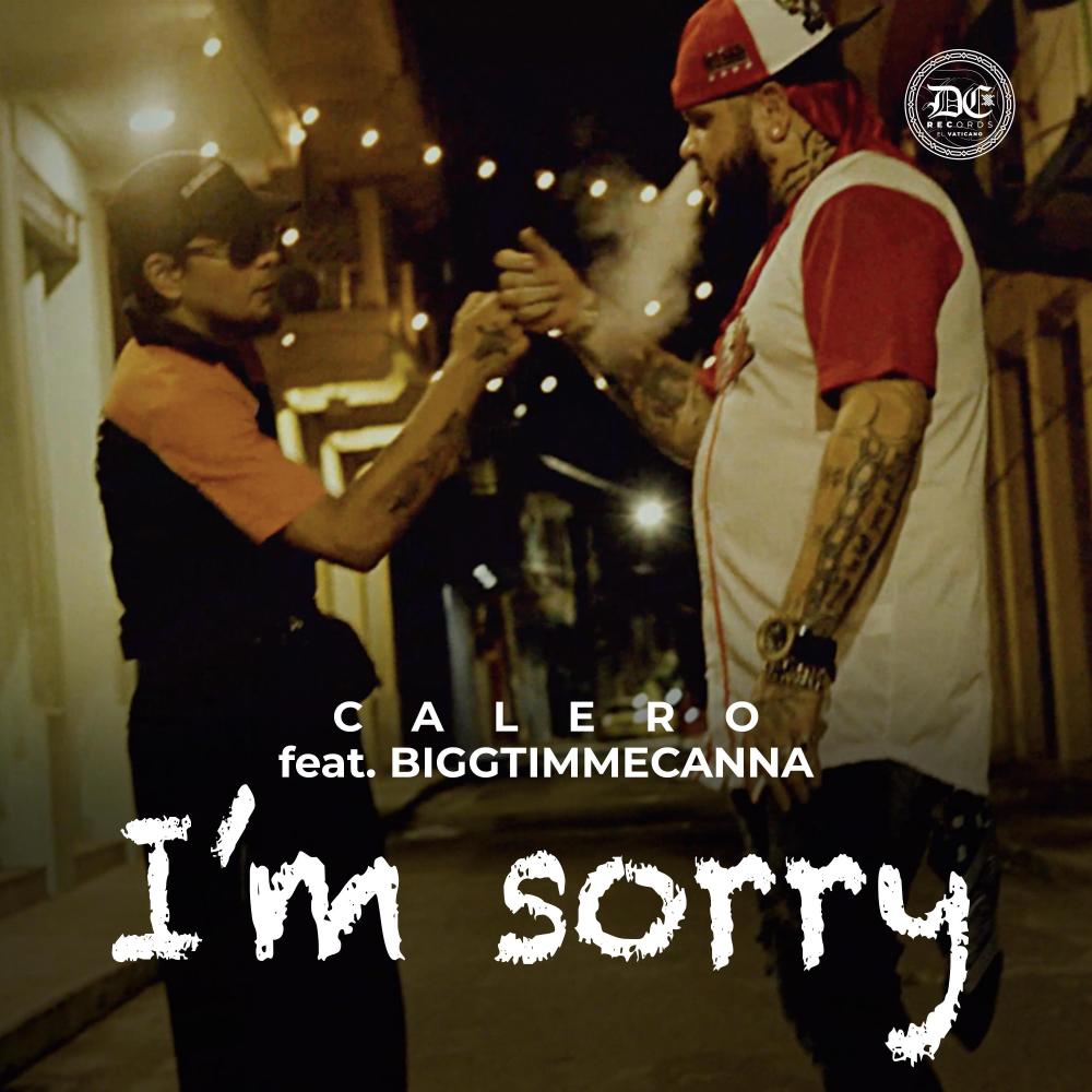 I'm Sorry (feat. Biggtimmecanna) (Explicit)