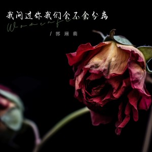 Listen to 我问过你我们会不会分离 (伴奏) song with lyrics from 郭翊萌