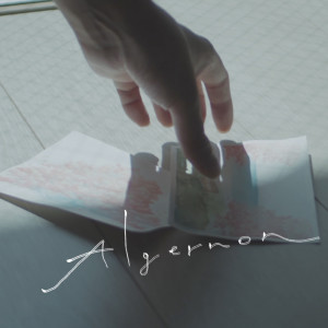 まつり的专辑Algernon