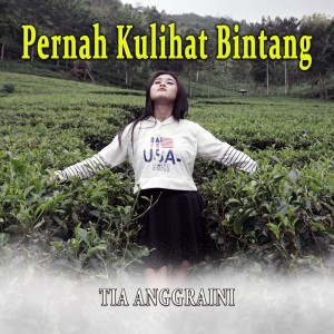 Tia Anggraini的专辑Pernah Kulihat Bintang