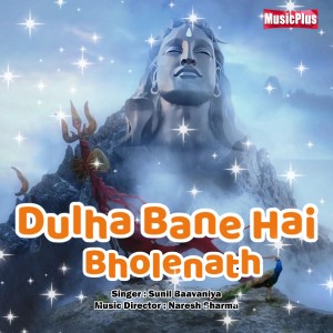 Album Dulha Bane Hai Bholenath from Anjali Jain