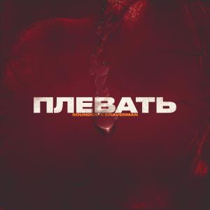 收聽BRAVERMAN的Плевать歌詞歌曲