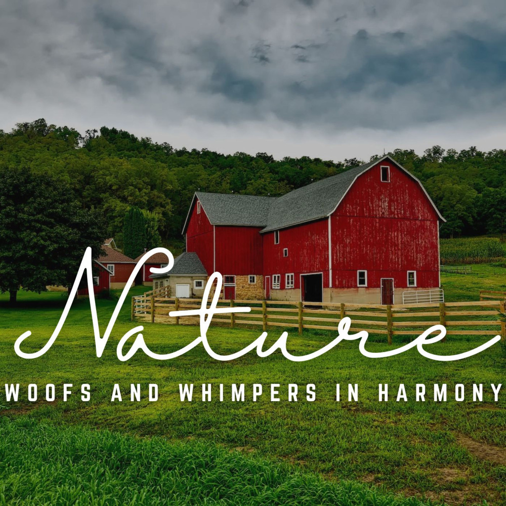 A Dog's Serenade of Blissful Whimpers