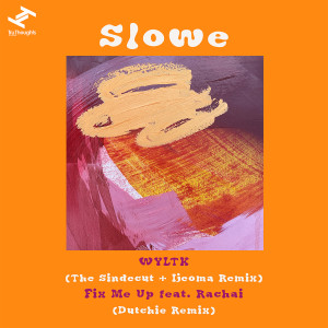 Listen to WYLTK (Instrumental|The Sindecut & Ijeoma Remix) song with lyrics from Slowe