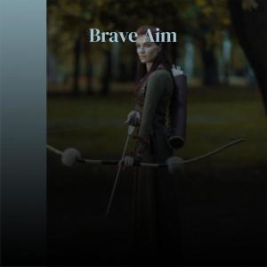 Album Brave Aim from Various