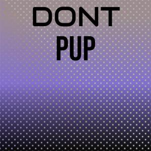 Various Artists的專輯Dont Pup