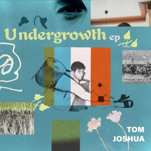 Dengarkan This Still Life lagu dari Tom Joshua dengan lirik