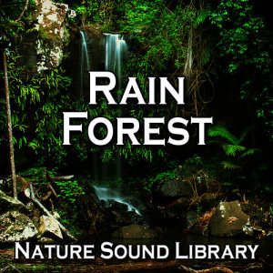 Rain Forest (Nature Sounds for Deep Sleep, Relaxation, Meditation, Spa, Sound Therapy, Studying, Healing Massage, Yoga and Chakra Balancing)