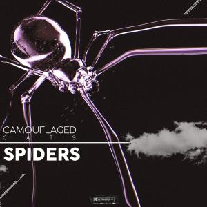 ดาวน์โหลดและฟังเพลง Spiders พร้อมเนื้อเพลงจาก Camouflaged Cats