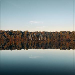 ดาวน์โหลดและฟังเพลง Wolves (feat. Johan Hasselblom) พร้อมเนื้อเพลงจาก Lights & Motion