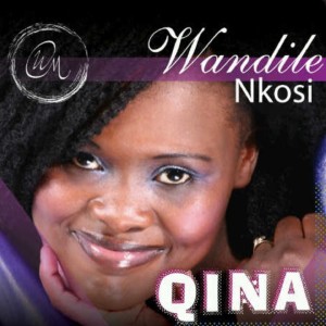 ดาวน์โหลดและฟังเพลง Ha Ona ya Tshwanang พร้อมเนื้อเพลงจาก Wandile Nkosi