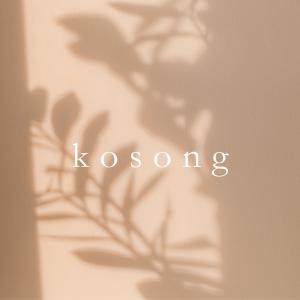 Album k o s o n g from 