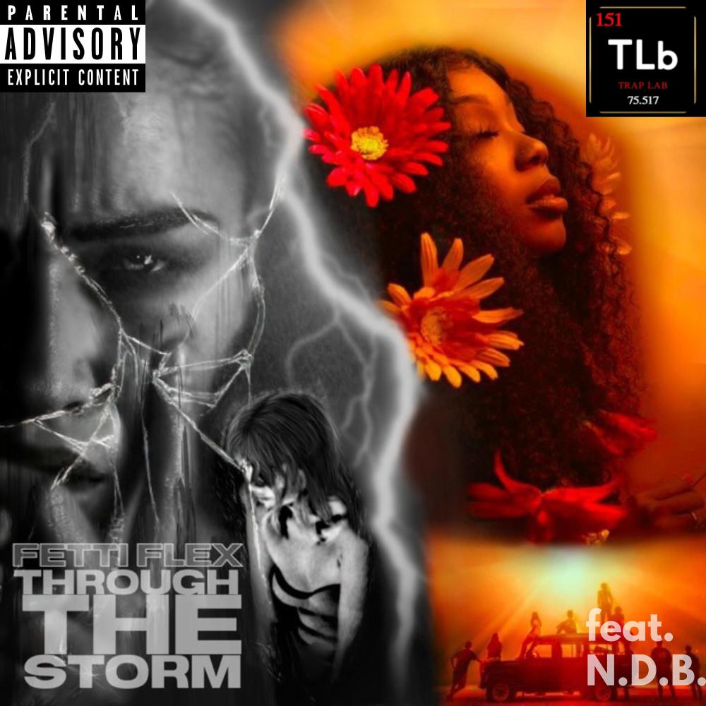 Through The Storm (feat. N.D.B) (Explicit)