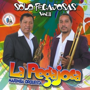 Solo Pegajosas Vol. 11. Música de Guatemala para los Latinos