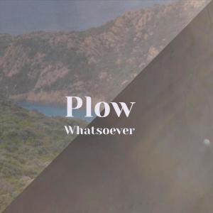 Various的专辑Plow Whatsoever