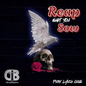 收聽Db Reborn的Reap What You Sow歌詞歌曲