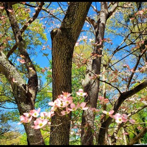 收聽Relaxing Music的Soundscape歌詞歌曲