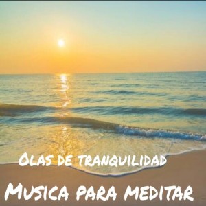 Album Olas De Tranquilidad from Musica Para Meditar