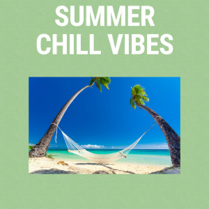 Various的專輯Summer Chill Vibes (Explicit)